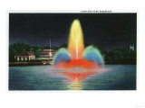 Rochester, New York - Highland Park Reservoir Illuminated at Night Print
