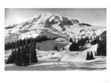 Rainier National Park - Early Spring in Paradise Valley Photograph Poster