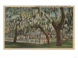 Lake Wales, FL - Outdoor View of Shuffleboard Court Print