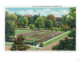 Rochester, New York - Maplewood Park Rose Garden View Prints