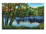 New Haven, Connecticut - Edgewood Park View of the Duck Pond Print
