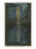 Lake Wales, FL - View of Mt. Lake & Singing Tower Prints