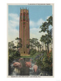 Lake Wales, FL - View of Singing Tower & Flamingos Prints