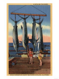 Santa Catalina, California - Little Girls Looking at Caught Swordfish Art