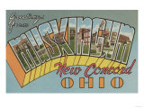 New Concord, Ohio - Muskingum County Poster