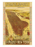 New York City, New York - Panoramic Map Posters