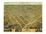 Lexington, Kentucky - Panoramic Map Print