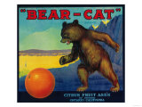 Bear Cat Orange Label - Ontario, CA Láminas Bear Cat Orange Label - Ontario, CA Láminas