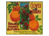 Clover Orange Label - Redlands, CA Prints