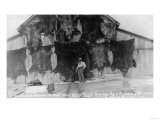 Sand Point, Alaska - Grizzly Bear Furs Hanging by Hunter and Child Prints
