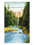 Vancouver, Canada - View of Capilano Suspension Bridge No. 2 Poster