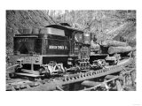 Benson Timber Company Train Hauling Logs - Clatskanie, OR Print Benson Timber Company Train Hauling Logs - Clatskanie, OR Print