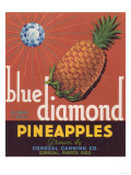 Blue Diamond Pineapple Label - Corozal, PR Posters
