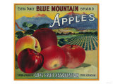 Blue Mountain Apple Crate Label - Cove, OR Posters