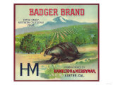 Badger Orange Label - Exeter, CA Prints