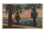 Santa Monica, CA - Yacht Harbor and Sunset View Art