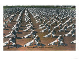 US Navy View - Physical Training Program for Recruits Prints