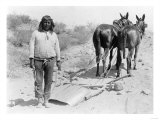 Indian with Mule Drawn Plow Photograph - Arizona Pósters Indian with Mule Drawn Plow Photograph - Arizona Pósters