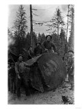 Lumberjacks standing around 7 ft. Fir Tree Photograph - Cascades, WA Art