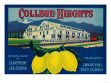 College Heights Lemon Label - Claremont, CA Posters