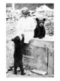 Girl Playing with Bear Cub in Seward, Alaska Photograph - Seward, AK Art