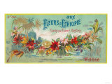 Fleurs D Ethiopie Soap Label - Paris, France Pósters