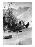 Explorer's Tent and Belongings at Camp Site Alaska Photograph - Alaska Prints