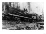 Logging Train carrying men and 12 foot diameter Fir Trees Photograph - Cascades, WA Posters
