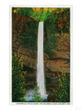 Latourelle Falls in Columbia River Gorge - Columbia River, OR Posters