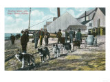 Hauling Water with Dogs - Nome, AK Posters Hauling Water with Dogs - Nome, AK Posters