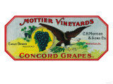 Eagle Grapes Label - North East, PA Posters