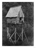 Food Cache away from bears in Alaska Photograph - Alaska Posters