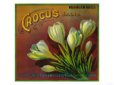 Crocus Orange Label - Highland, CA Posters