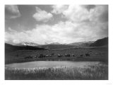 Cowboys and Horses near Pond at the Nine Quarter Circle Ranch Photograph - Eldridge, MT Posters