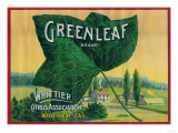 Greenleaf Lemon Label - Whittier, CA Posters