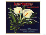 Lily Orange Label - Exeter, CA Posters