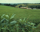 Woodstock 1969 Photo