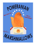 Pomeranian Marshmallows Edition limitée par Ken Bailey