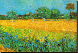 View of Arles with Irises Stretched Canvas Print by Vincent van Gogh