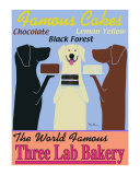 Ken Bailey - Pekařství Three Lab Bakery Limitovaná edice Ken Bailey - Pekařství Three Lab Bakery Limitovaná edice