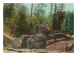 View of Lumberjacks, Logging Scene - Sterling, CA Poster