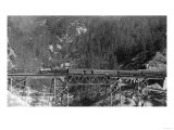 View of a Western Pacific Train on a Bridge - Plumas County, CA Láminas