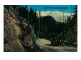Mt. Rainier and Government Road - Rainier National Park Print