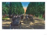 Model-T Fords on Kearney Avenue - Fresno, CA Posters