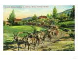 View of Freight Teams Hauling Bartlett Water - Bartlett Springs, CA Prints View of Freight Teams Hauling Bartlett Water - Bartlett Springs, CA Prints