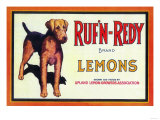 Ruf n' Redy Lemon Label - Upland, CA Prints