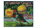 Mountain Quail Apple Crate Label - Watsonville, CA Print