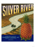 Silver River Pineapple Label - Manati, PR Prints