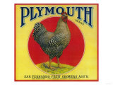 Plymouth Orange Label - San Fernando, CA Poster