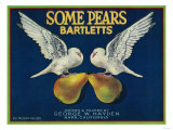 Some Pears Pear Crate Label - Napa, CA Prints